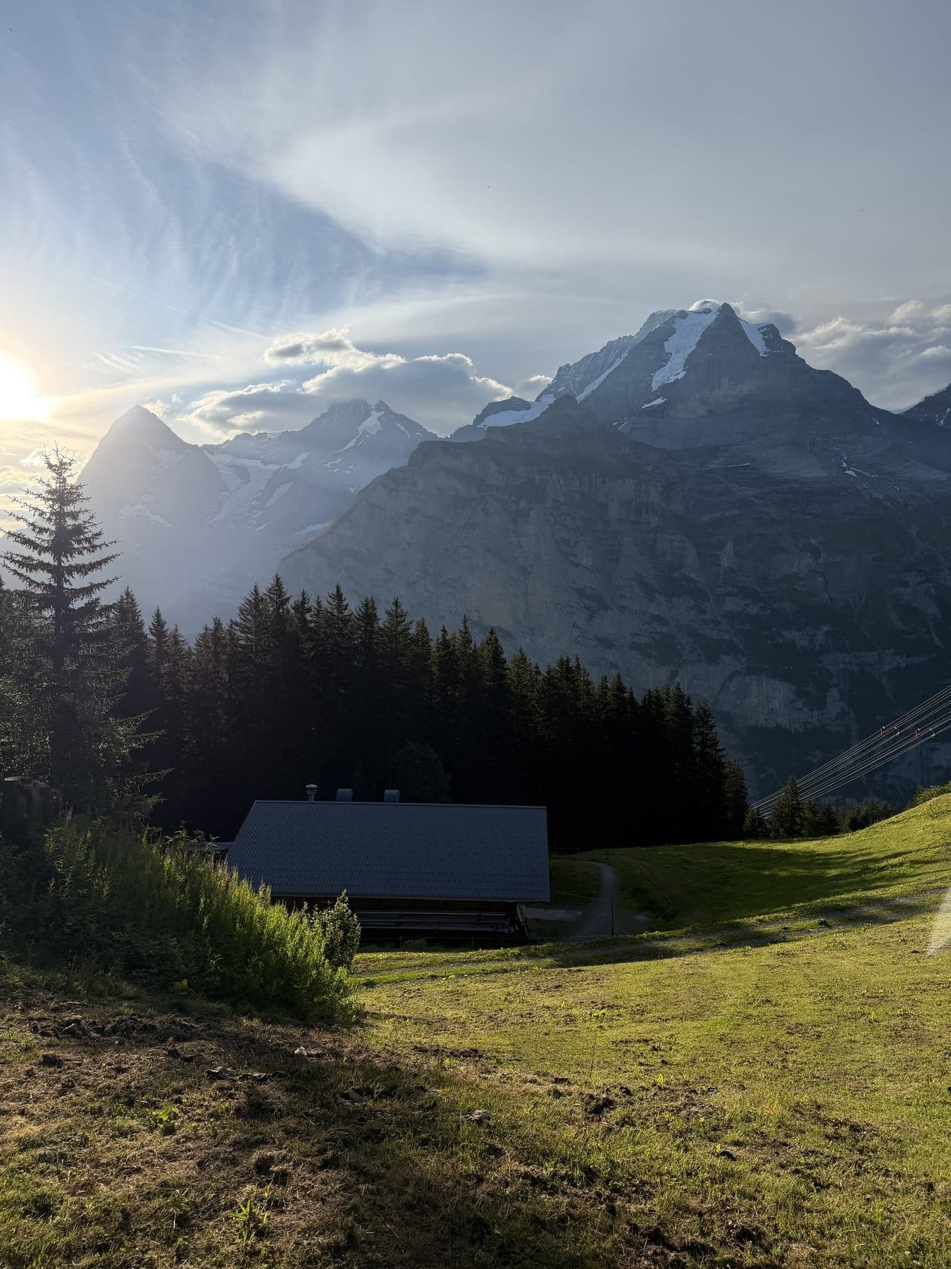 Evening light over a mountain hut and pine forest
